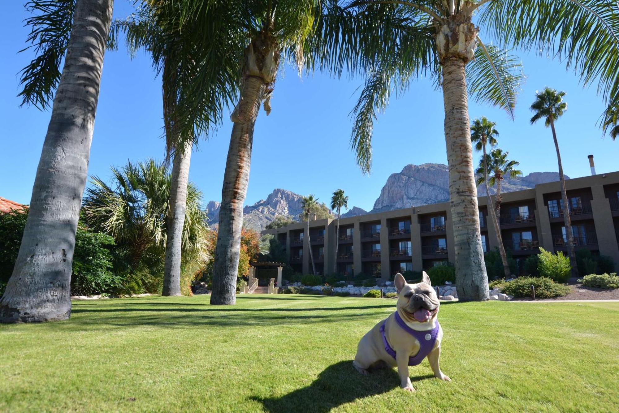 El Conquistador Tucson, A Hilton Resort Oro Valley Exterior foto